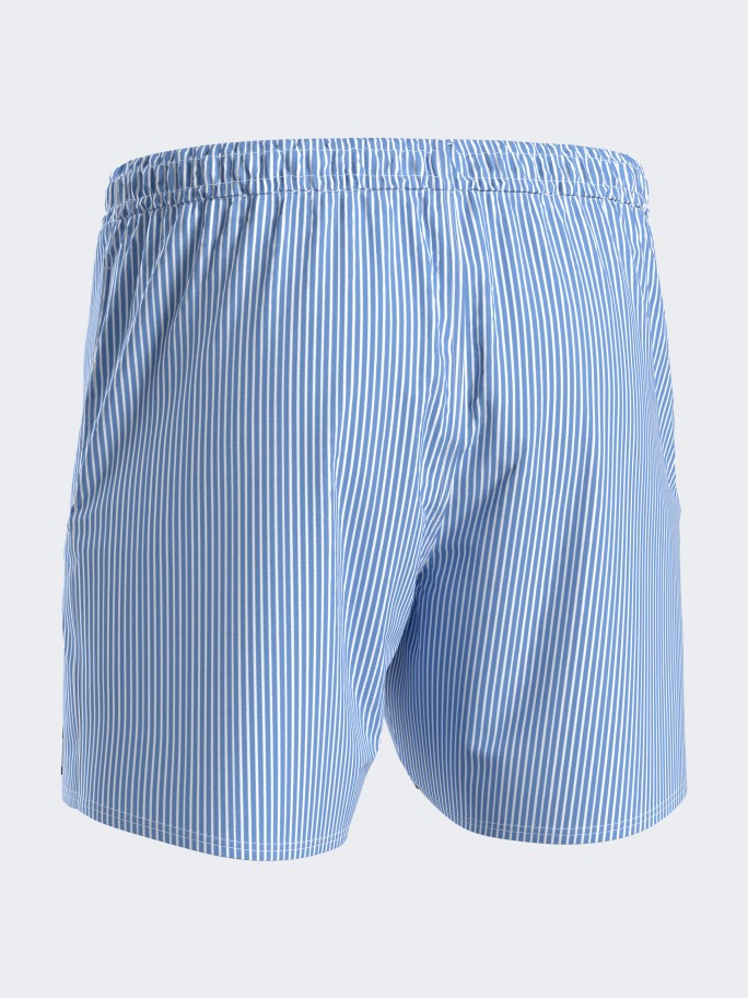 Striped Swim Shorts