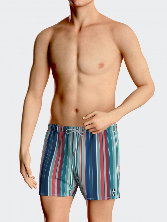 Striped Swim Shorts