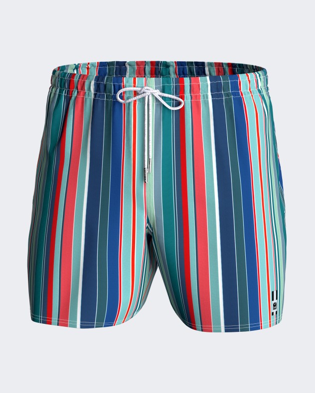 Striped Swim Shorts