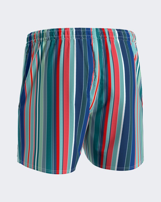 Striped Swim Shorts
