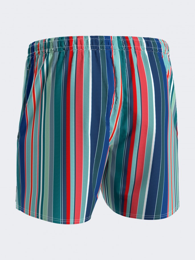 Striped Swim Shorts