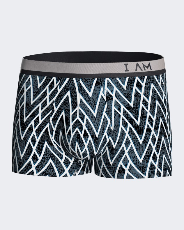 Pack of 2 printed man's boxers in Lyocell