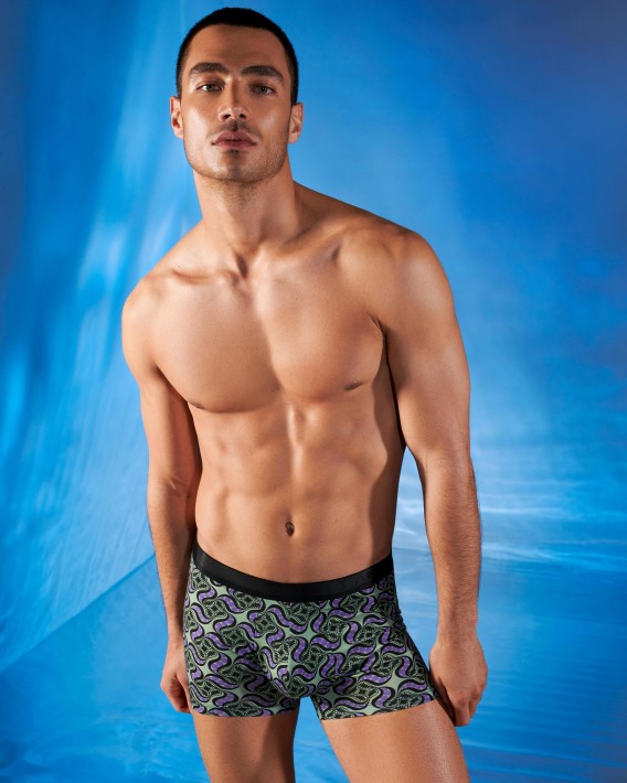 IIHMM4404MedioBOXER
