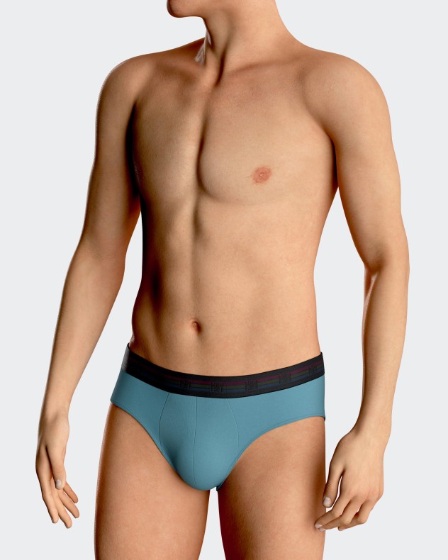 Pack of two plain man's briefs in cotton