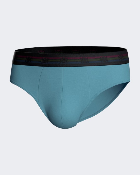 Lot de deux slips unis en Coton