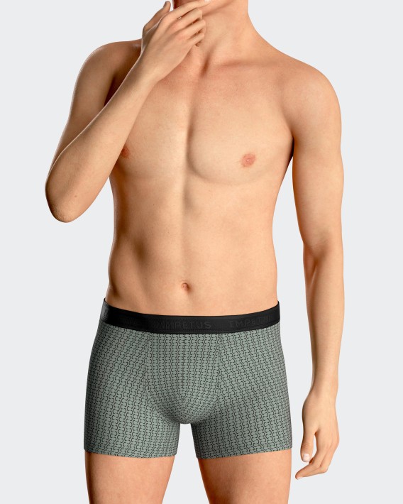 Pack of two Man's boxers in cotton