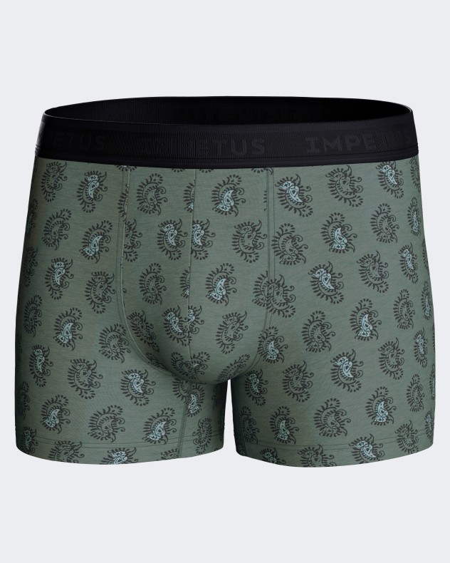 Pack of two Man's boxers in Lyocell