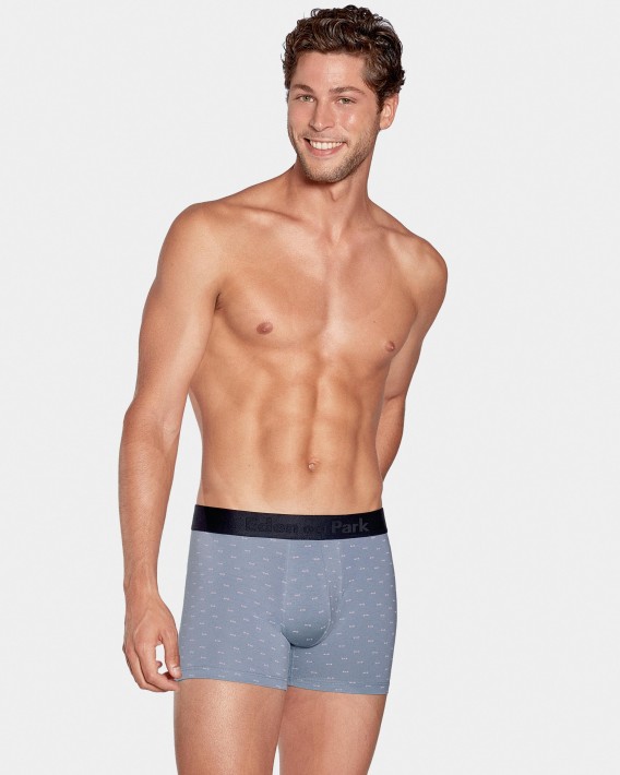 Boxer estampado Eden Park