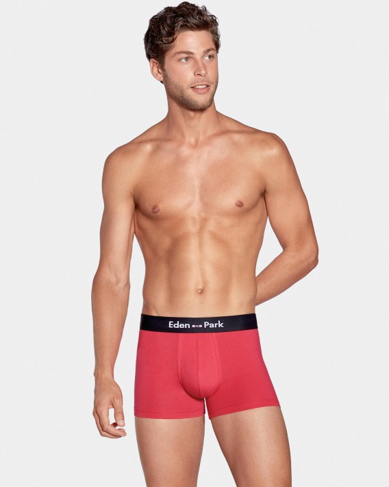 Lot de 2 boxers unis en coton