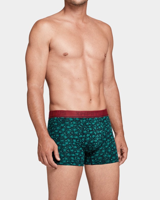 Boxer Burnet