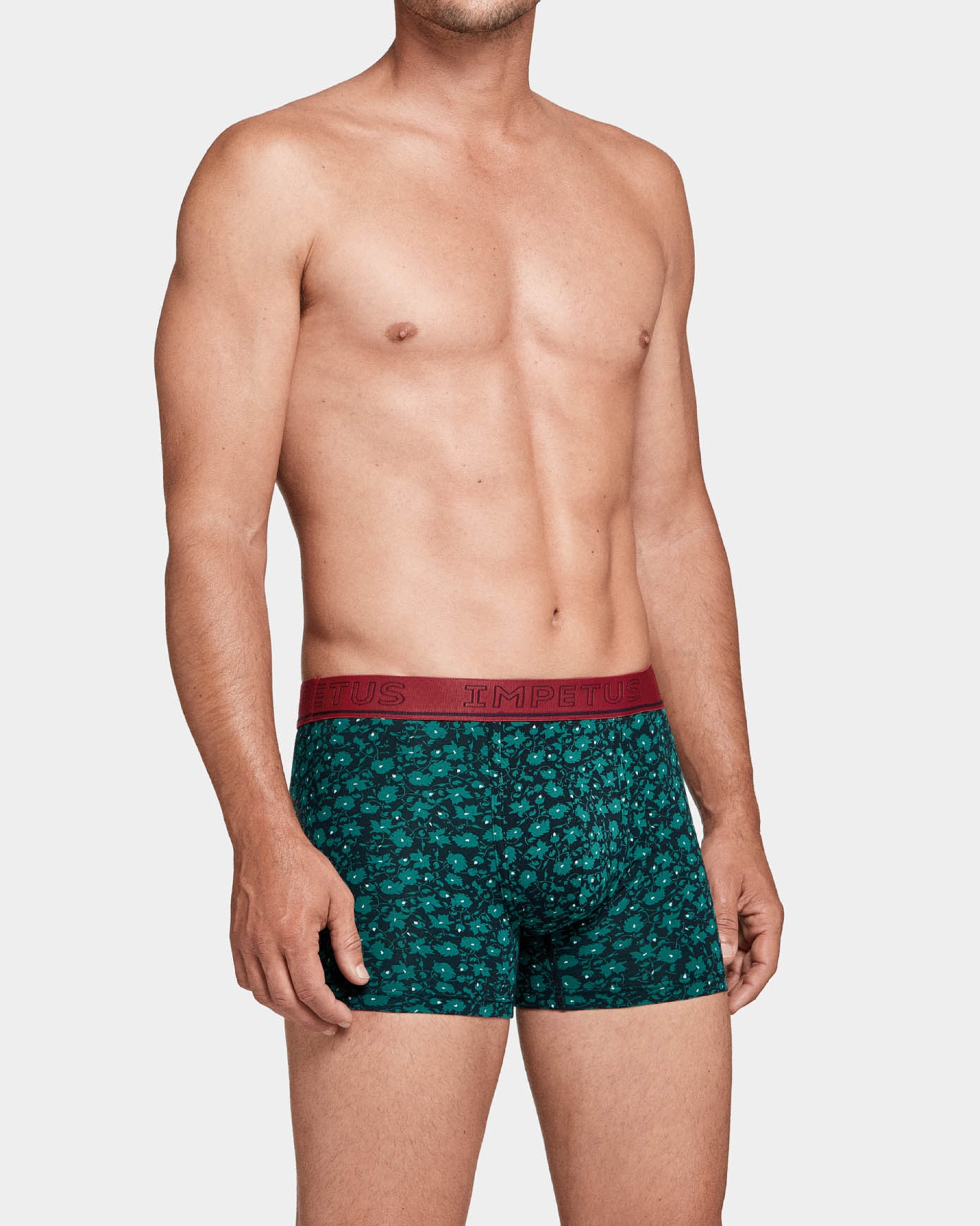 Boxer Burnet
