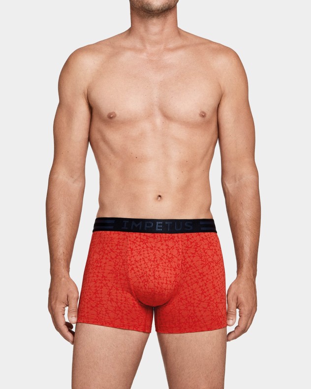 Boxer Platos