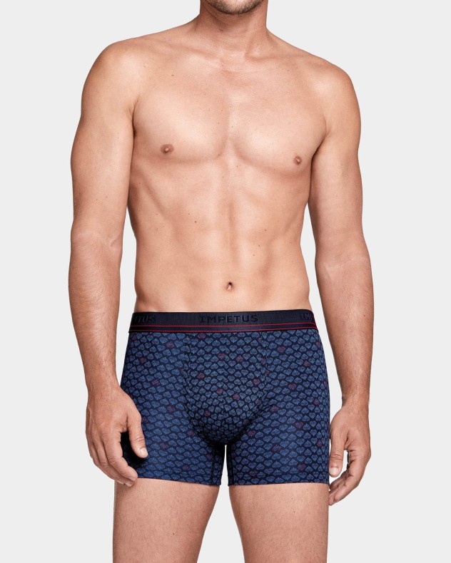 Boxer Hearts Prints