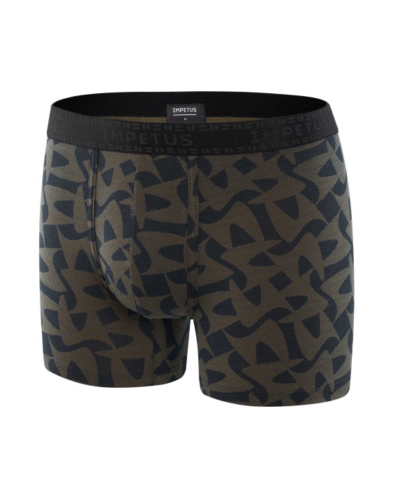 Boxer imprim Lech