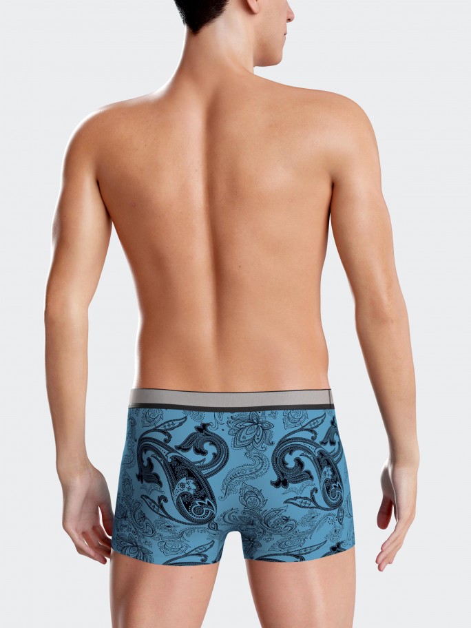 Pack of two printed boxers Paisley