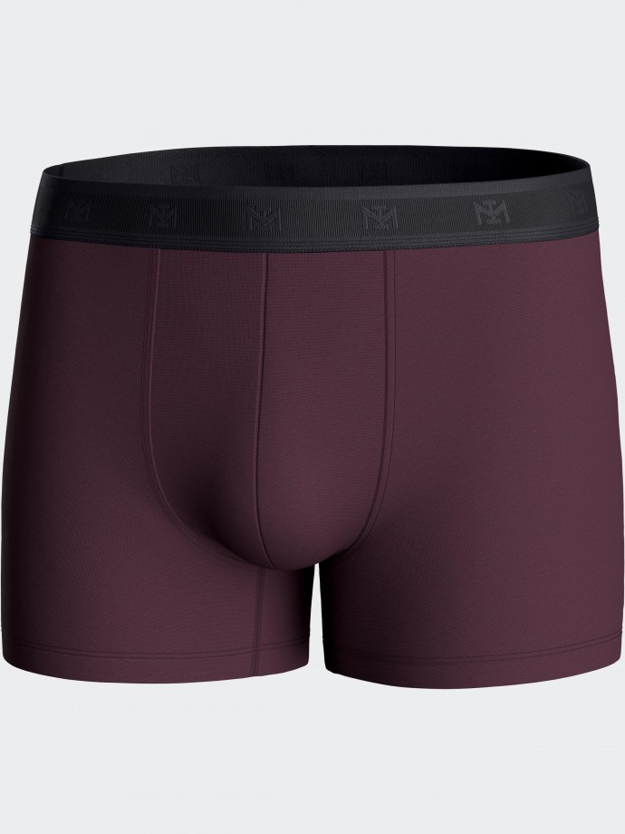 Pack of 2 plain men's boxer in Lyocell