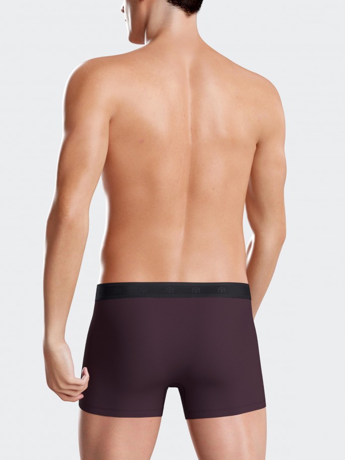 Pack of 2 plain men's boxer in Lyocell