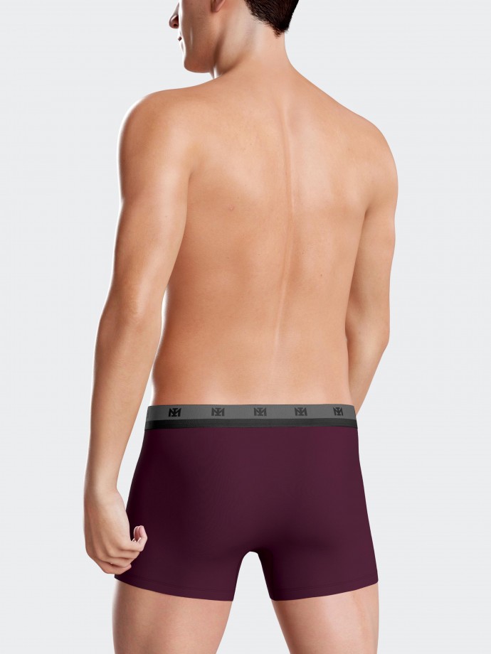 Pack of 2 plain boxers in Lyocell