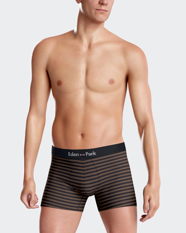 Pack of 2 Boxers Eden Park