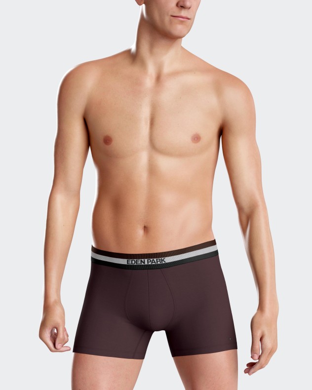 Pack 2 Boxers lisos Eden Park