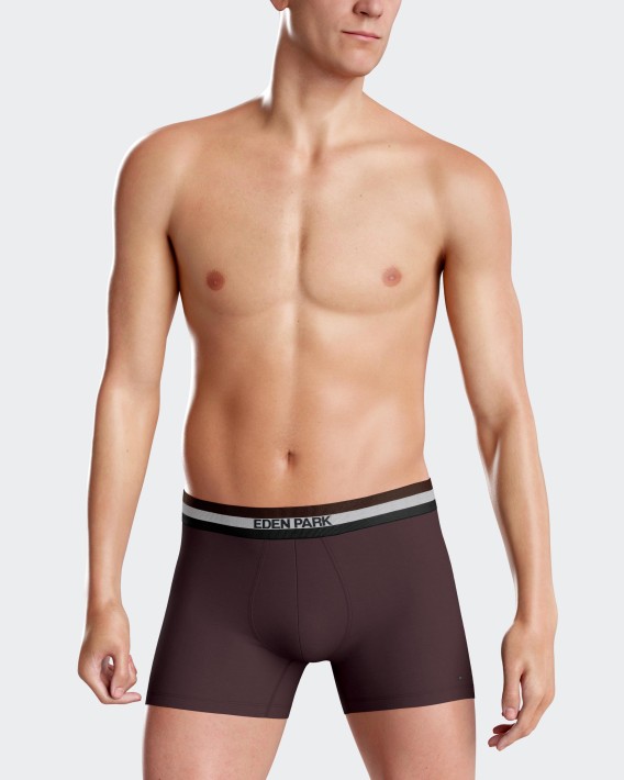 Pack of 2 Eden Park plain boxers