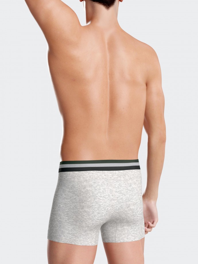 Pack of 2 Eden Park plain boxers