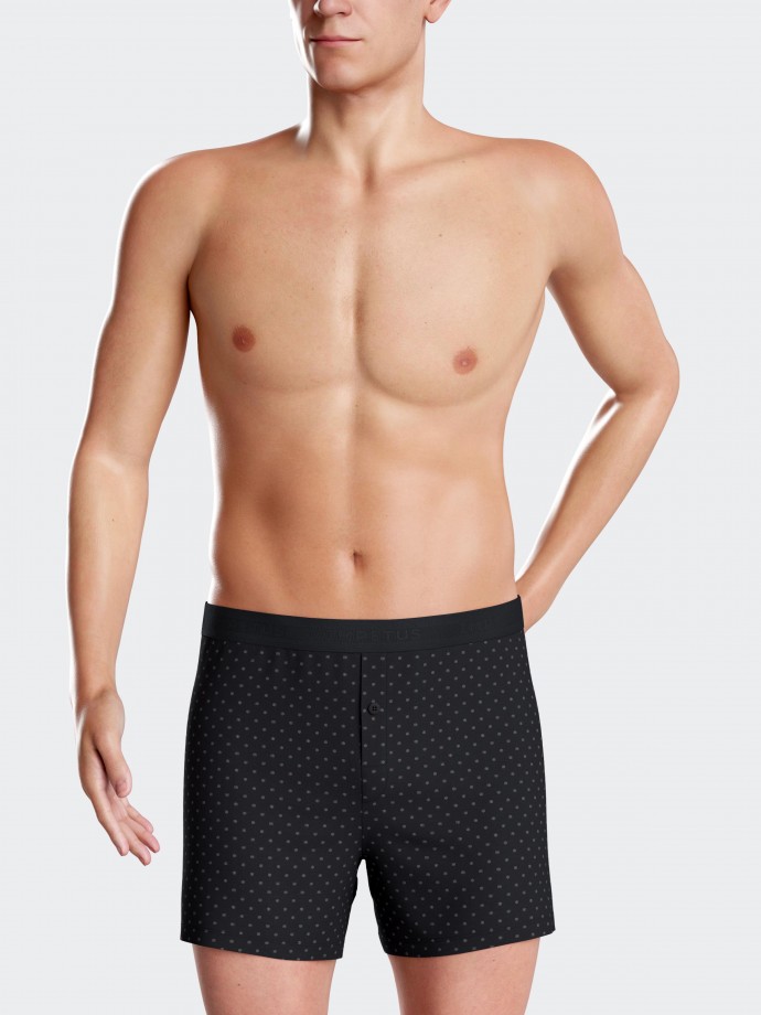 IMHMN4202BOXER MALHABOXER