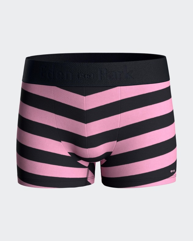 Striped boy's boxer Eden Park