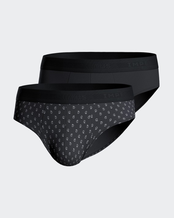 Pack de 2 slips en Coton