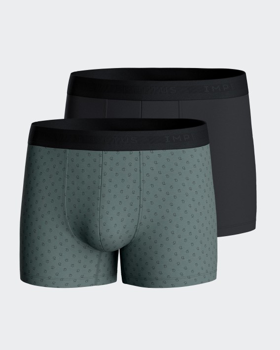 Pack of 2 boxers in Cotton