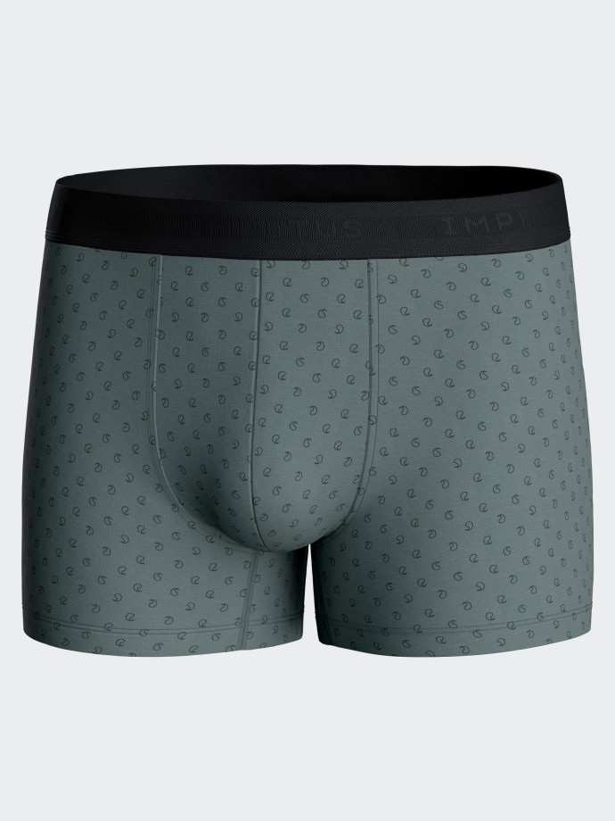 Pack of 2 boxers in Cotton