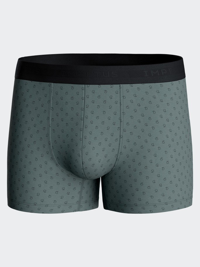 Pack of 2 boxers in Cotton