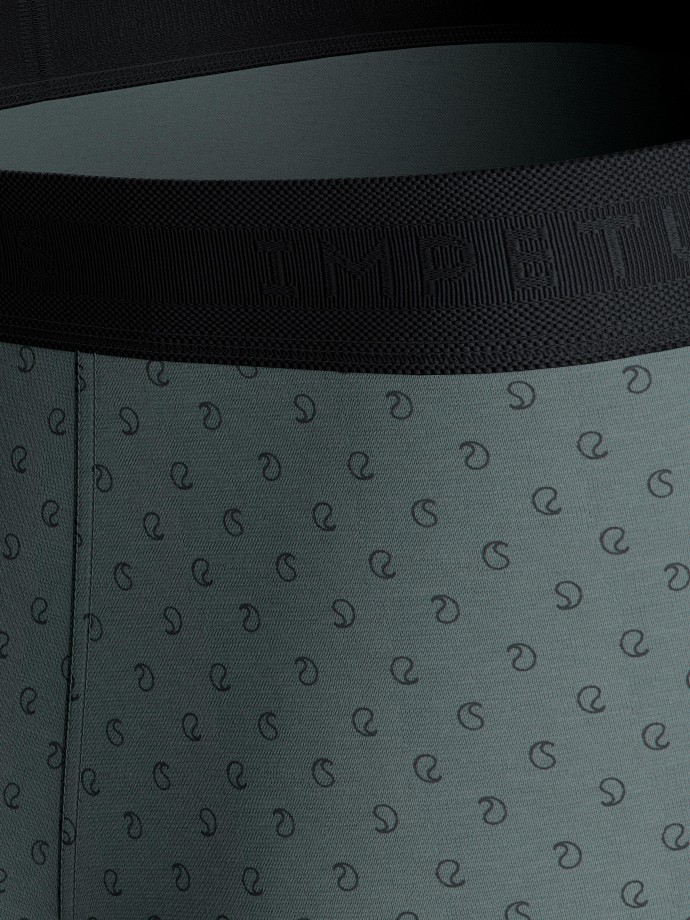Pack of 2 boxers in Cotton
