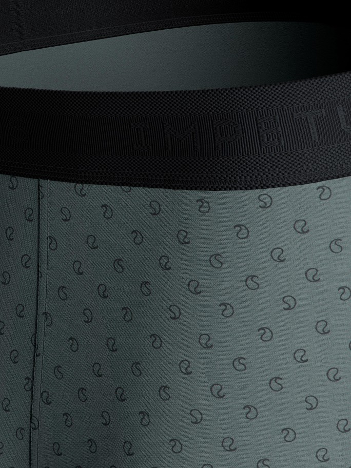 Pack of 2 boxers in Cotton