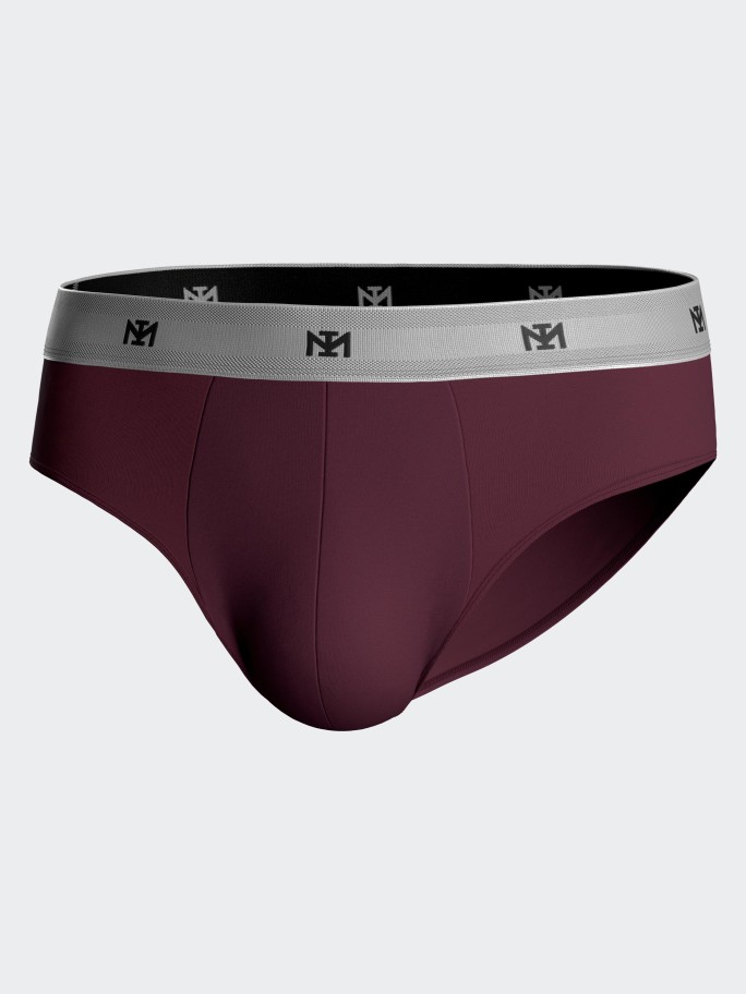Pack of 2 briefs in Lyocell