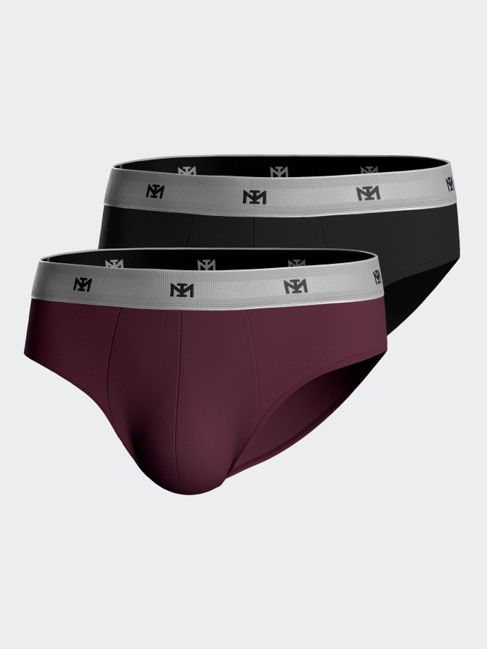 Pack of 2 briefs in Lyocell