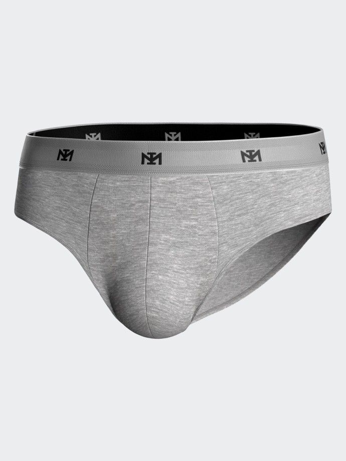 Pack of 2 briefs in Lyocell