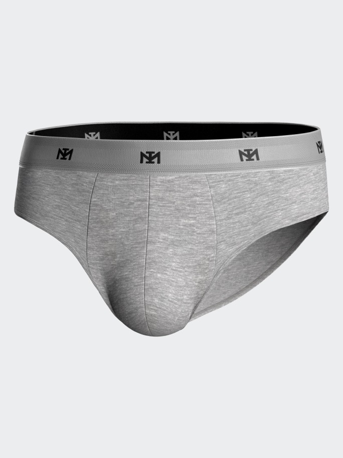 Pack of 2 briefs in Lyocell