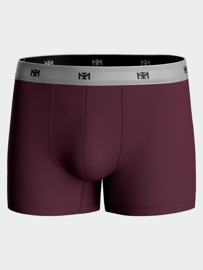 Pack of 2 boxers in Lyocell