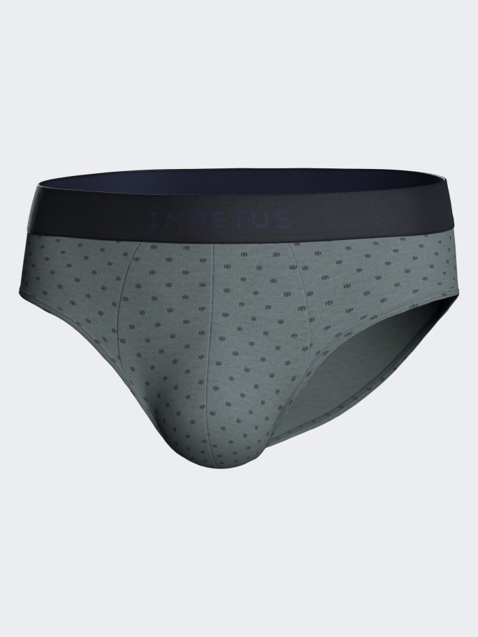 Pack 2 man's brief in cotton Modal