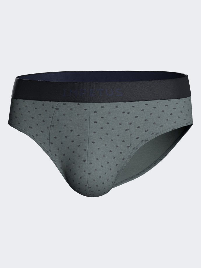 Pack 2 man's brief in cotton Modal