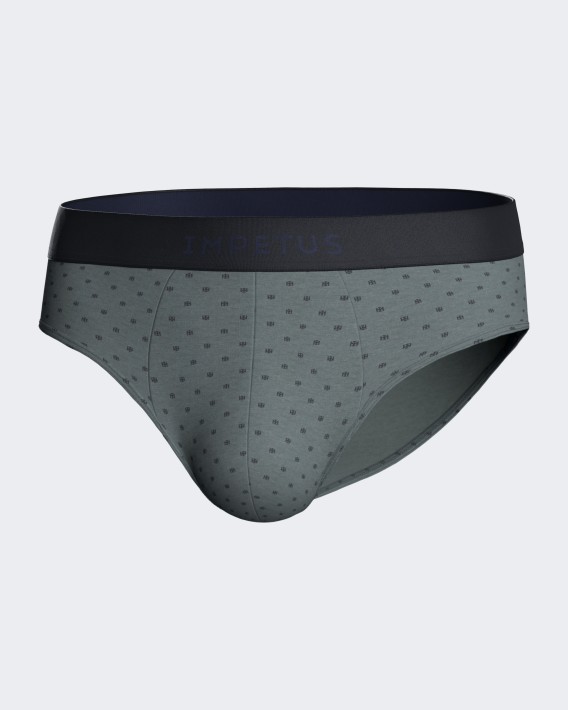 Lot de deux slips en Coton Modal