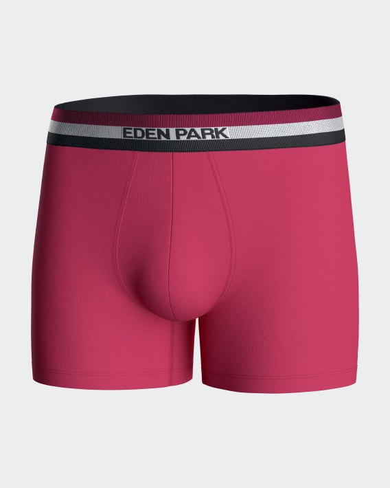 Pack 2 Boxers lisos Eden Park