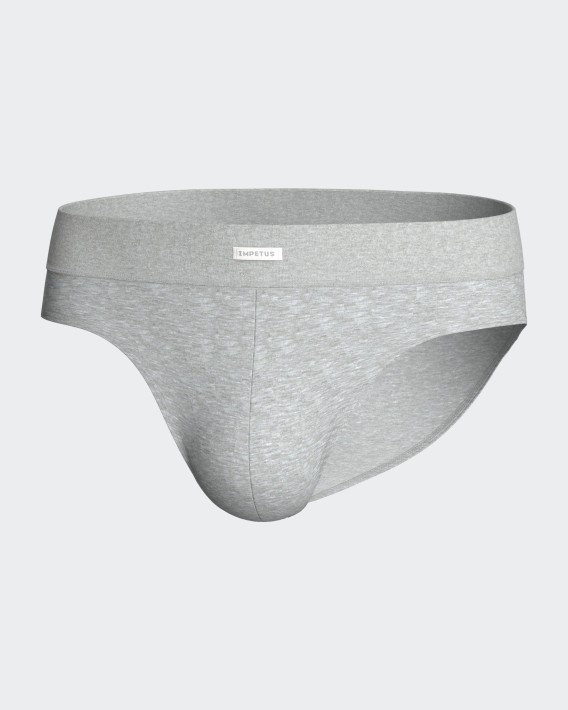 Lot de 2 slips en Coton lasthanne
