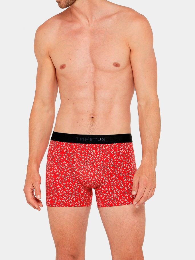 BOXER