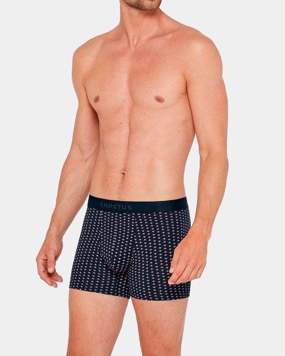 Boxer imprim Lupin