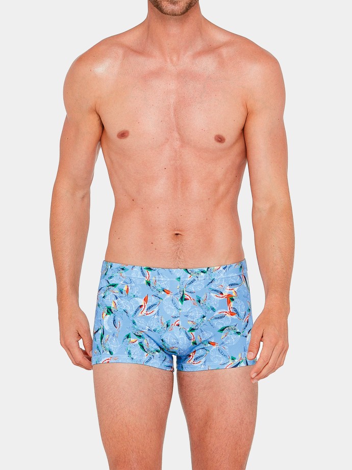 Bxer de bao Bandol