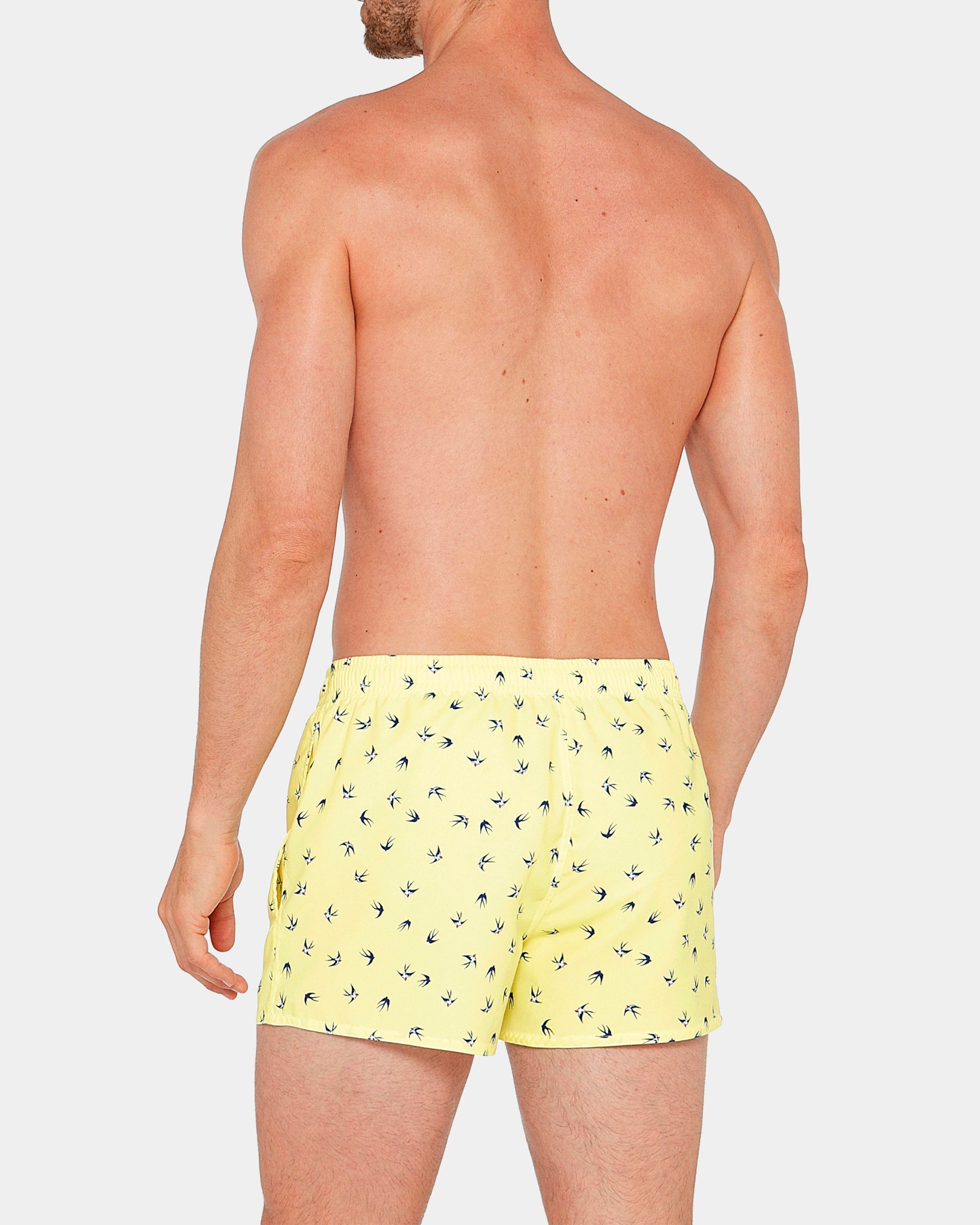 Shorts de Playa Sterne