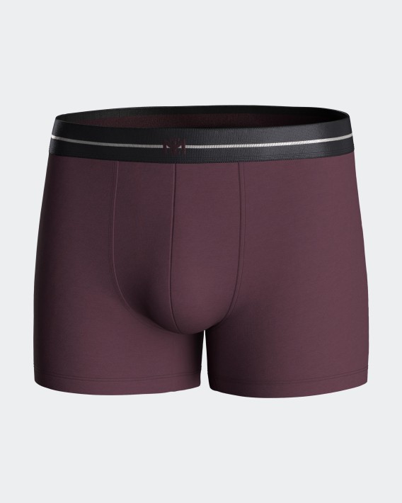 Pack 2 boxers de homem em Algodo Modal
