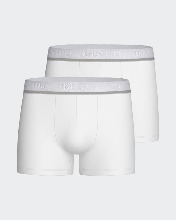 Pack of 2 men's boxers Cotton Stretch